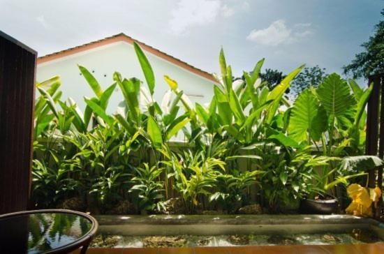 Mydream Guest House Ipoh Ngoại thất bức ảnh